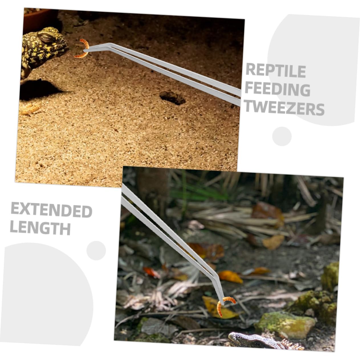 Yardwe 10piezas Pinzas De Alimentación para Reptiles De Metal Pinzas Largas para Acuarios y Terrarios Diseño Antideslizante y Cabezas y