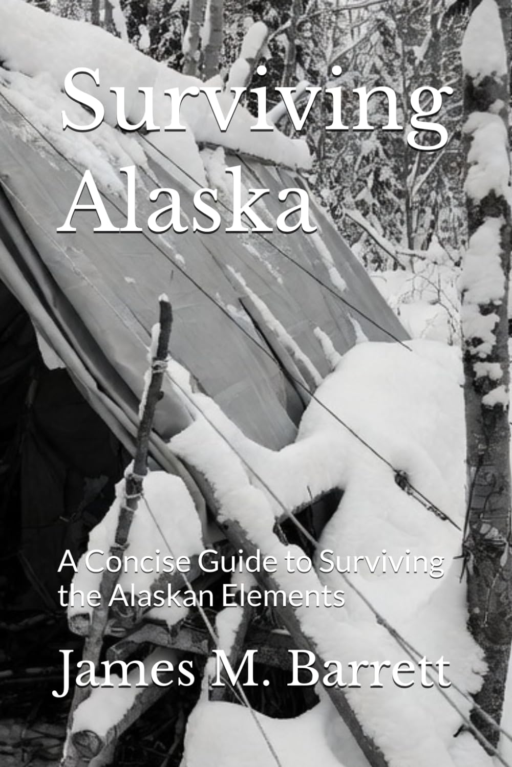Surviving Alaska: A Concise Guide to Surviving the Alaskan Elements