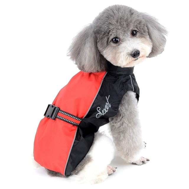 Foto 7 de 8 de Ranphy - Impermeable para perros pequeños, chaqueta reflectante ajustable para cachorros de malla ligera…