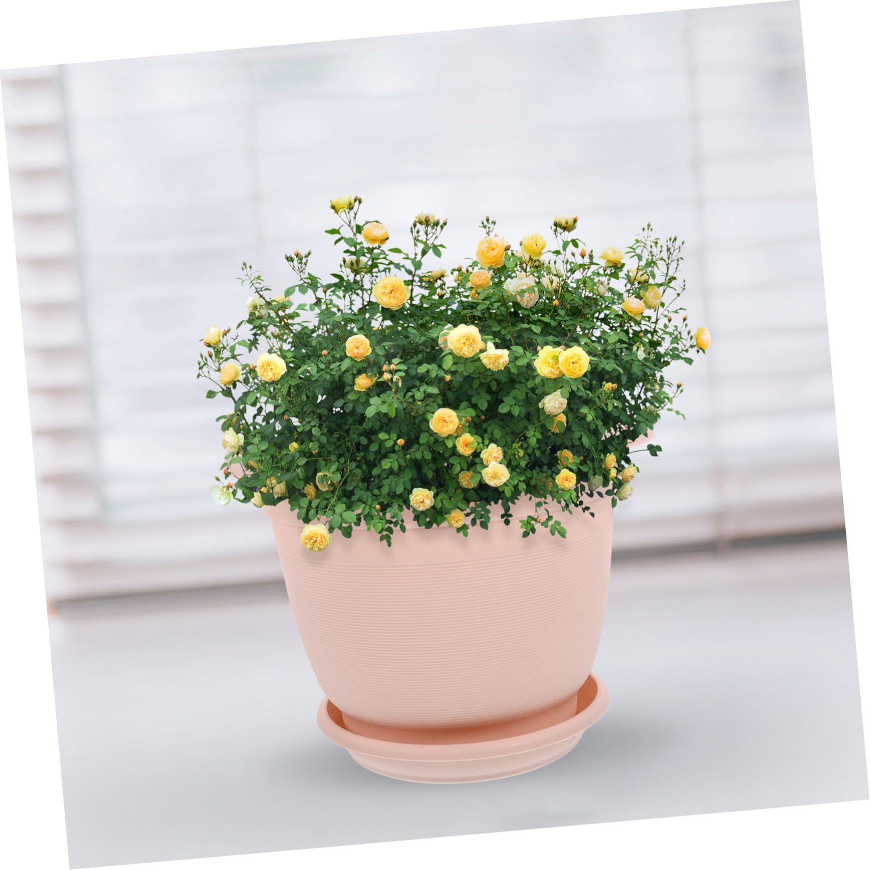 UKCOCO 10 Ensembles Pots de Fleurs Plastique Pots de Plantes Extérieurs Idéaux pour Plantes Jardinage Drainage