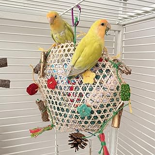 Parrot Conure Toys, Bird Hanging Shredding Foraging Toys, Parakeet Toy Parrot Hanging Bell Toys for Conures, Cockatiel, Budgies, Lovebird, Small Birds Cage Toy