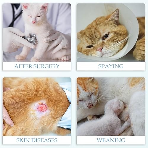 Miniatura 35 de ANWA Traje de Recuperación para Gatos - Mameluco Transpirable para Gatos Después de Cirugía para Hembras, Traje de Recuperación Post-Cirugía