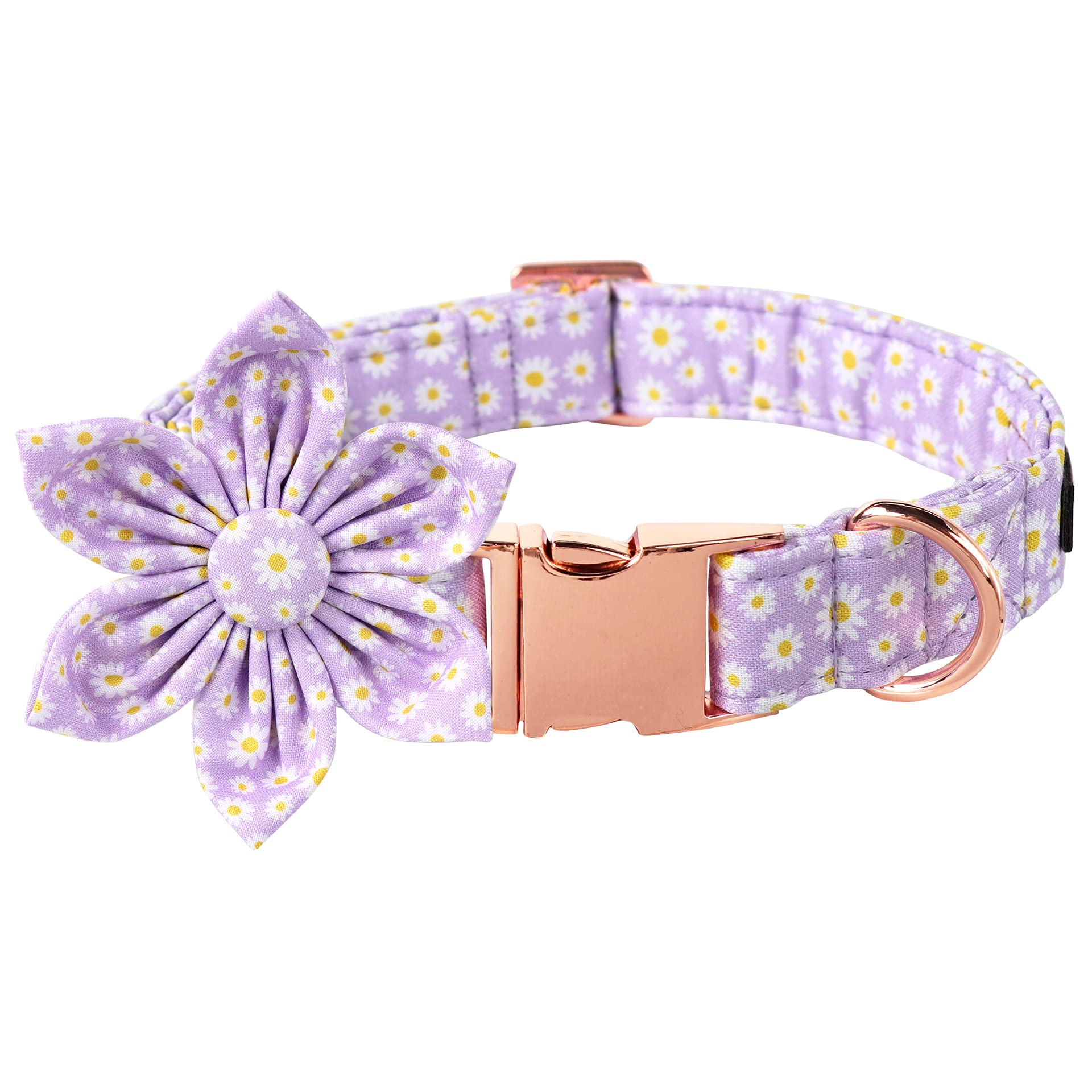Lionet Paws Spring Female Dog Collar with Flower, Soft Comfortable Adjustable Daisy Collar for Puppies and Cats, XS, Neck 8-12 inches
