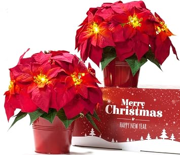 HOMESEASONS 2 Pack Christmas Decorations Pre-Lit Artificial Poinsettia Plant - LED Lighted Faux Poinsettia FlowersRed,10inch