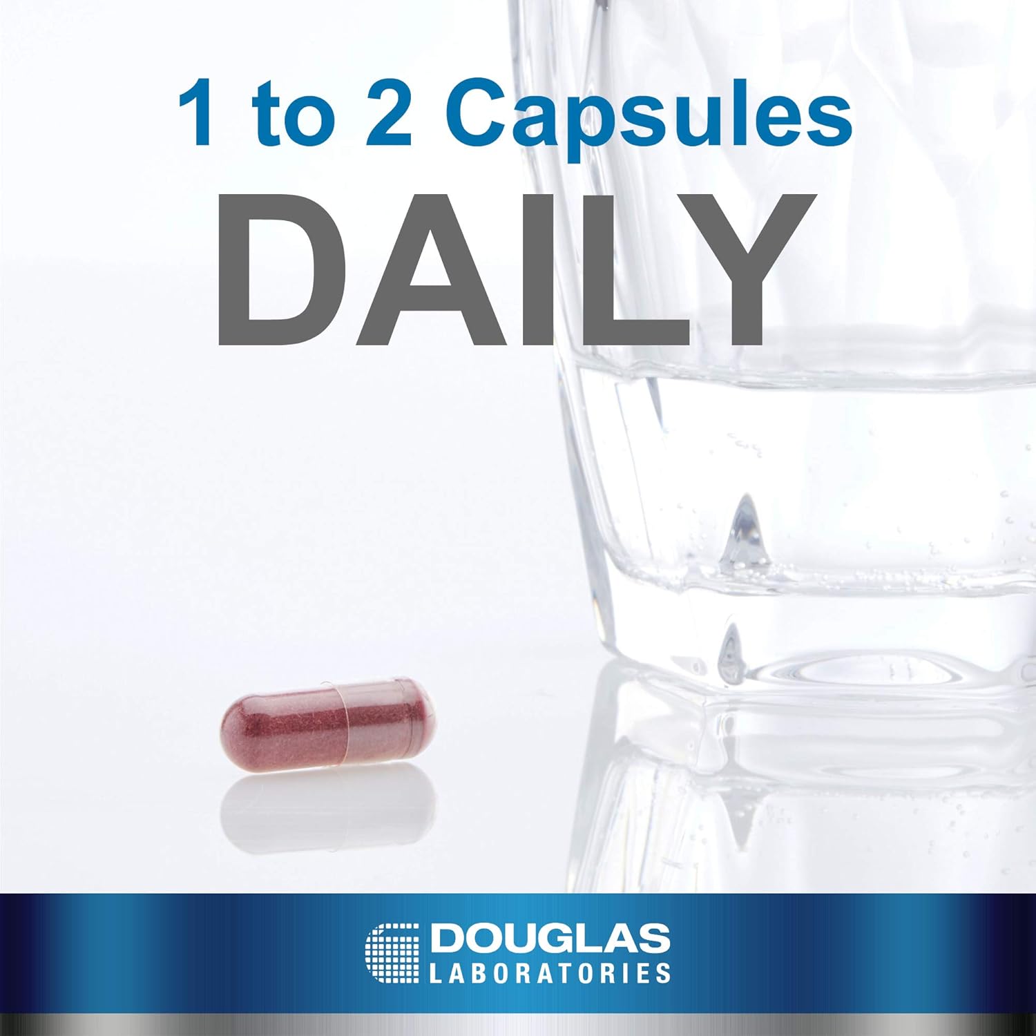 Douglas Laboratories Cran-Max (500 mg.) | Cranberry Whole Fruit Concentrate for Bladder Health | 60 Capsules