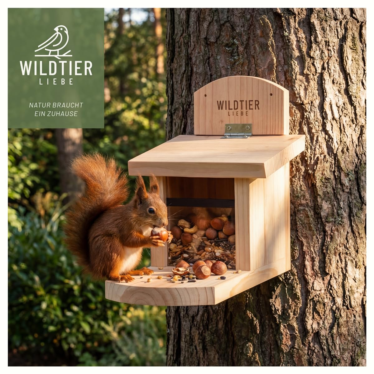 wildtier liebe Odpowiednia karma dla wiewiórek 1 kg dla wiewiórek i wiewiórek pasmowych I karma całoroczna wraz z ekstra deserem wiewiórki 50 g I karma wiewiórki, wiewiórki