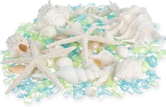 Sea Shells - White Real Mixed Beach Seashells 1lb with Starfish & Sea Glass Chips - Shells for Crafts - Ocean Decor - Beach Party Decorations - Seashell Decor - Large Shells Crafts