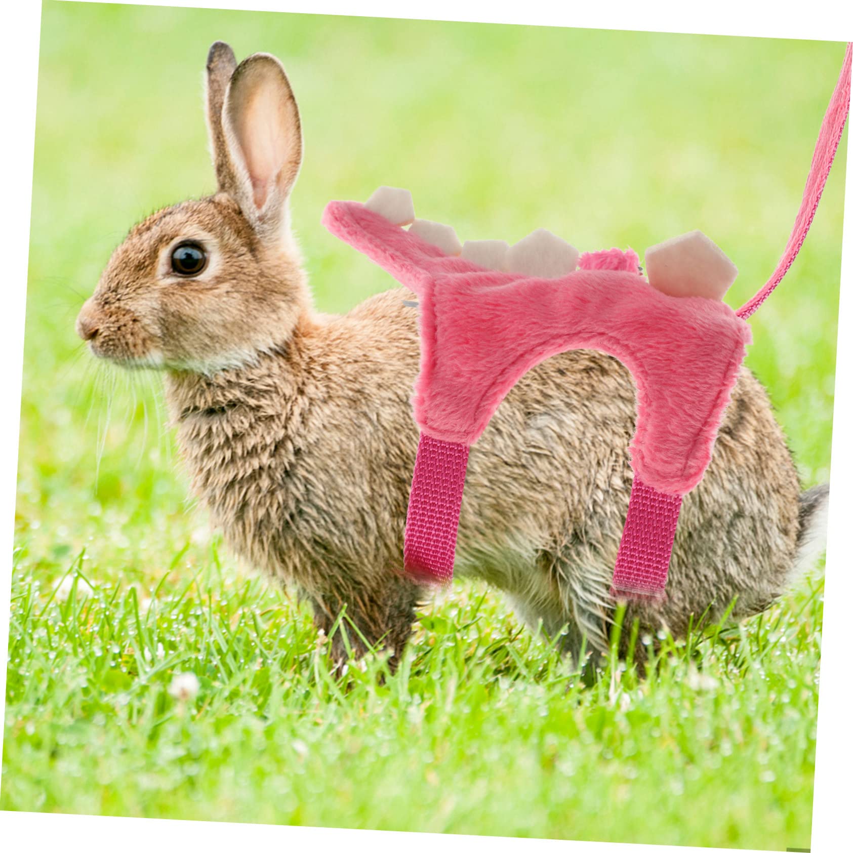 Beavorty 4 Pezzi Ferret Traction Leash Vest - Kit Guinzaglio Per Piccoli Animali Domestici Escape Per Passeggiate Sicure
