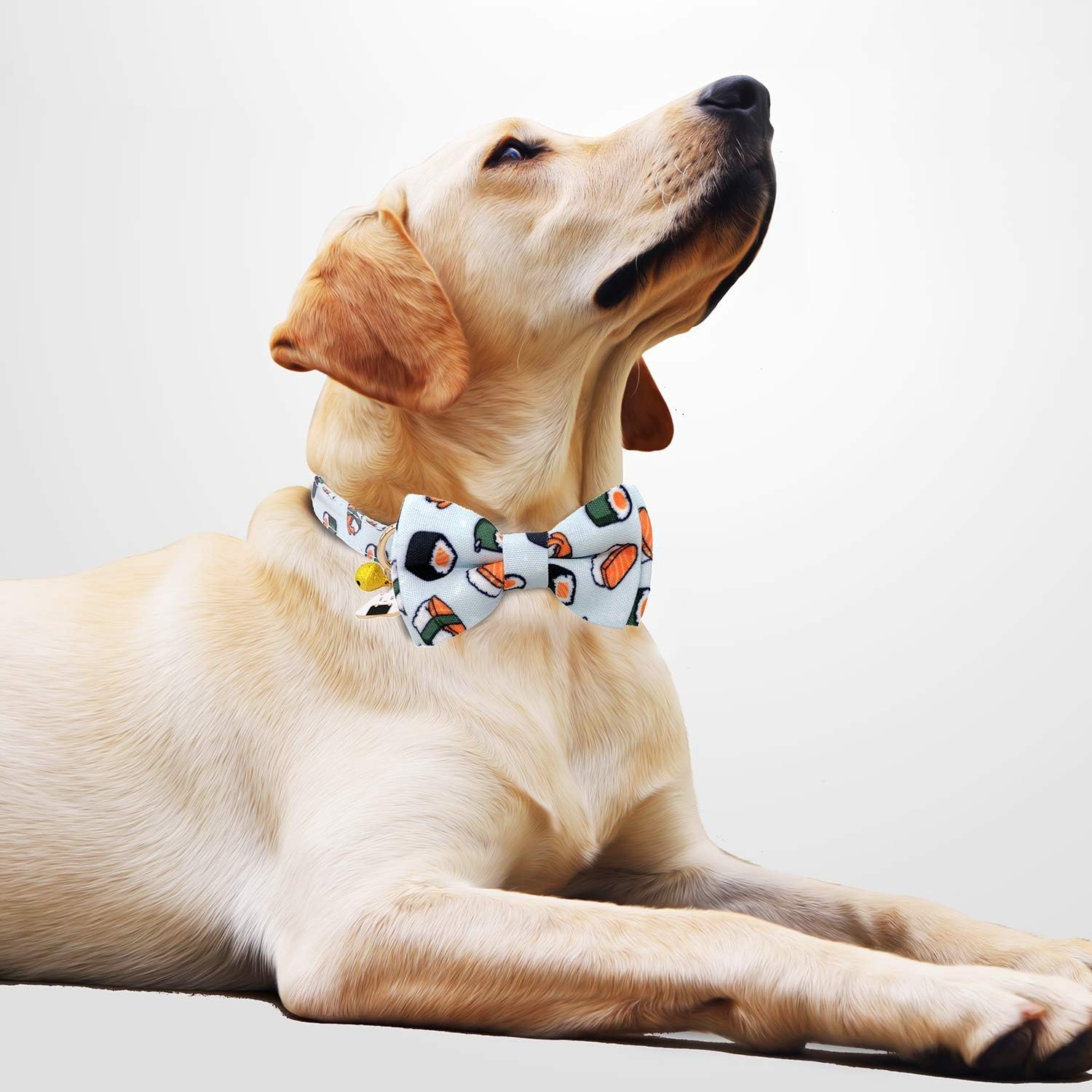 2 Pack Print Dog Collars with Bow Tie, Adjustable Dog Collar with Bells and Charm Safety Buckle Cute Pet Collars for Small/Medium/Large Dogs and Cats Boys Girls (Hamburger+Sushi, M(12"-18")) image 3
