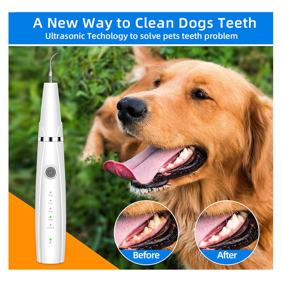 Dog Teeth Cleaning Kit | Pet Tooth Cleaner | Dental Care Tartar Plaque Remover for Dogs and Cats (White) - Image 3