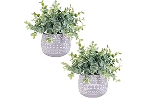 Wynlin 2 Pack Small Faux Eucalyptus Plants in Chic Gray Ceramic Pots