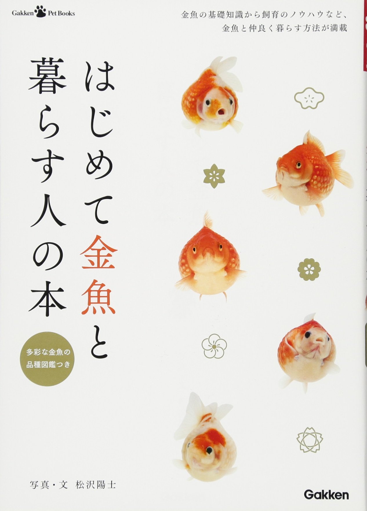 はじめて金魚と暮らす人の本 ｇａｋｋｅｎｐｅｔｂｏｏｋｓ 松沢陽士 本 通販 Amazon