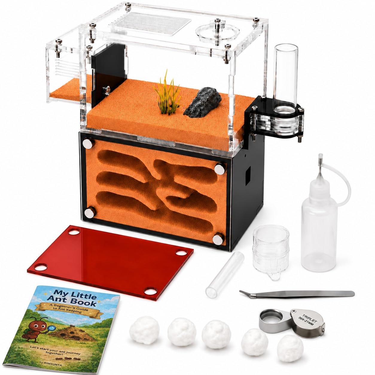 Ameisenfarm für Erwachsene - Studium des Ameisenverhaltens, Ameisennest, Terrarium, Pädagogisches Formicarium für Lebende Ameisen und Königin, Zwei Etagen