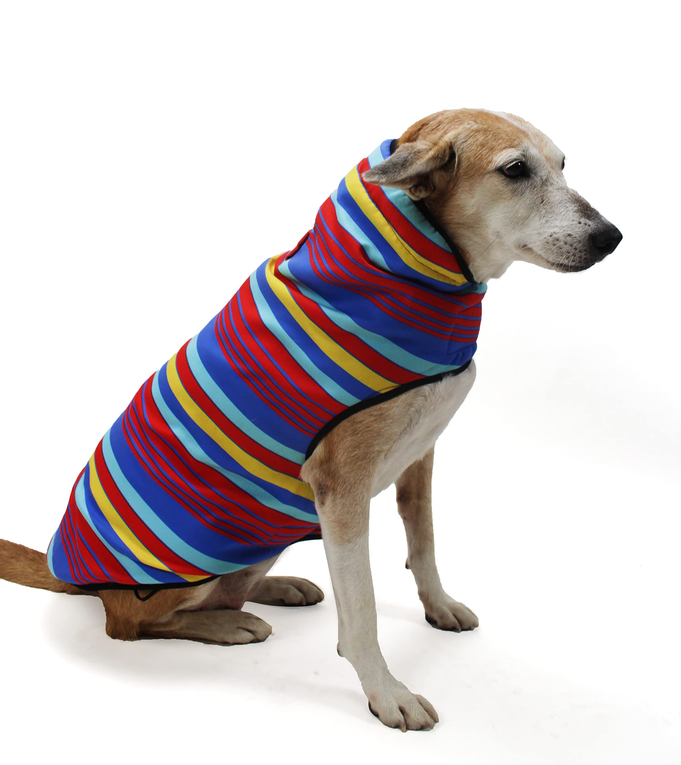 Lana Paws Dog Winter Coat Jacket Blue & Red Stripes, XL (Full-Grown Golden Retrievers, Labradors & Similar) (B0BML81MJH) Amazon Price History, Amazon Price Tracker