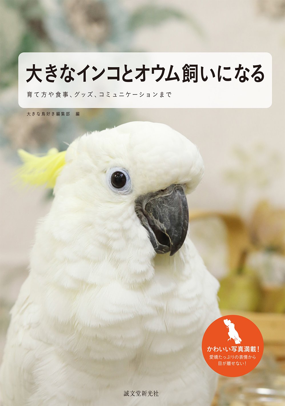 大きなインコとオウム飼いになる 育て方や食事 グッズ コミュニケーションまで 大きな鳥好き編集部 本 通販 Amazon 大きなインコとオウム飼いになる 育て方や食事 グッズ コミュニケーションまで 大きな鳥好き編集部 本 通販 Amazon