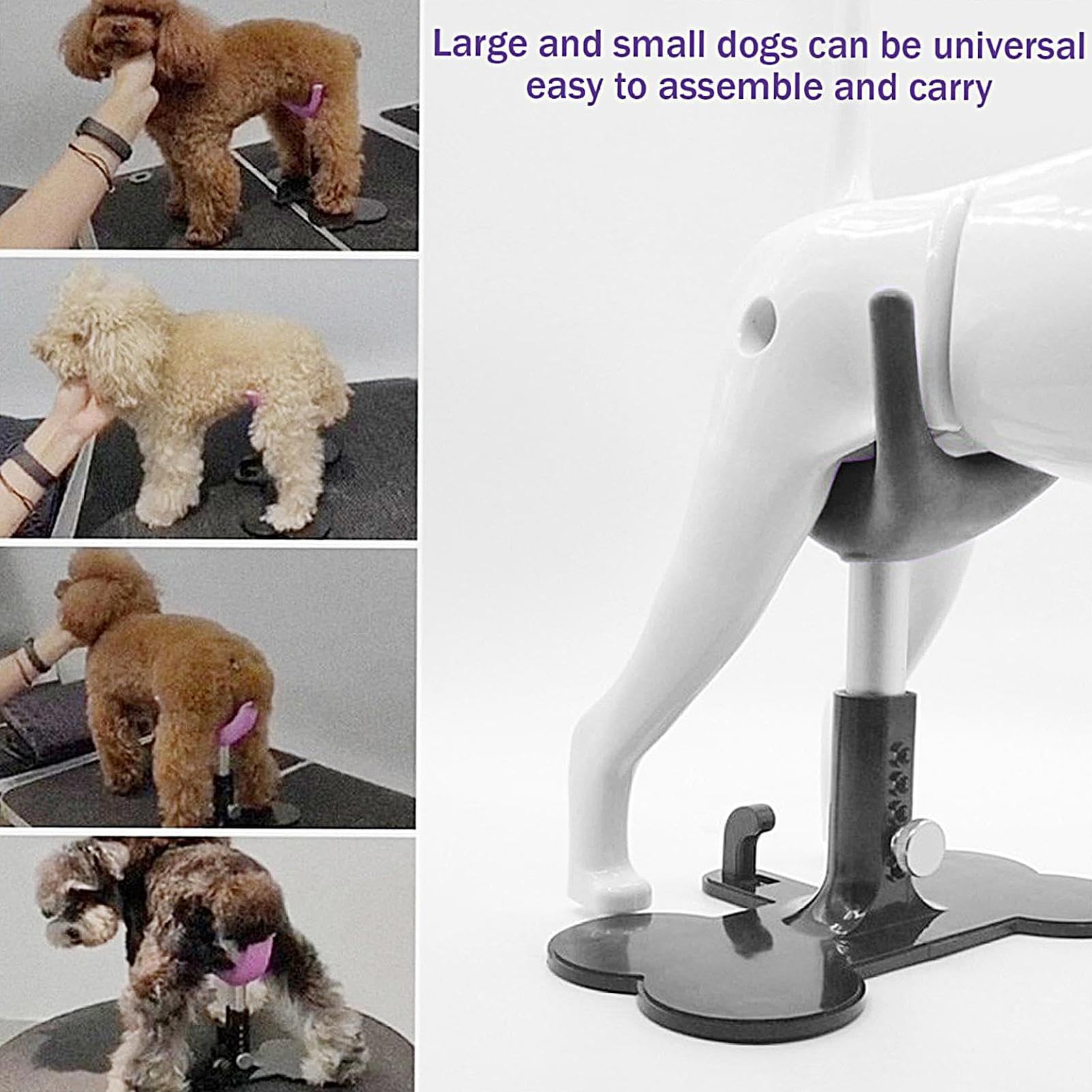 Amazon.co.jp: Fravsiu ペットグルーミングチェア | 子犬のトリミング