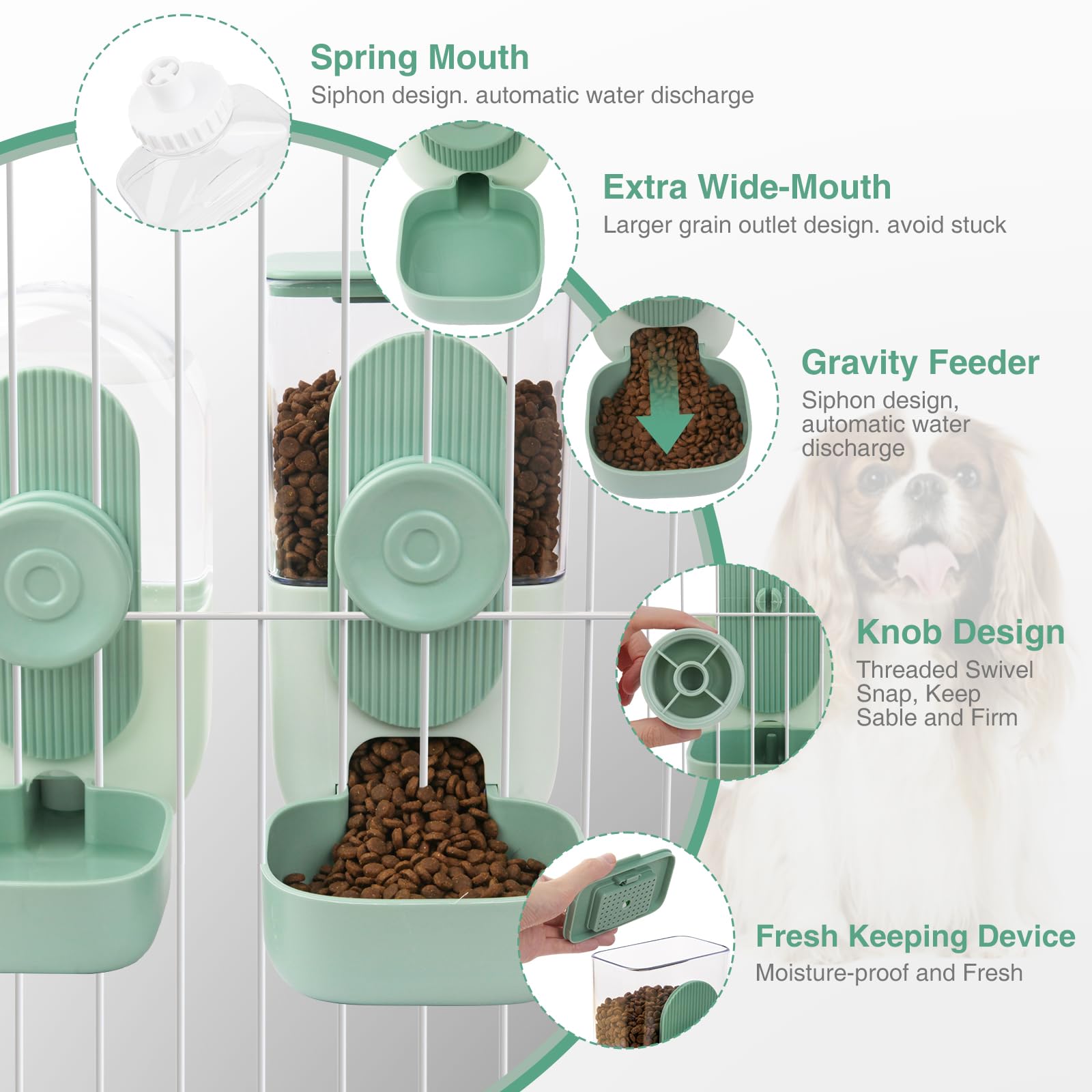 HENYEER Distributore Automatico Di Cibo E Acqua,Distributore Di Cibo A Parete,Distributore Di Cibo per Animali Domestici per Cani Gatti Conigli, Cincillà, Porcellini D'india, Ricci E Furetti(verde)