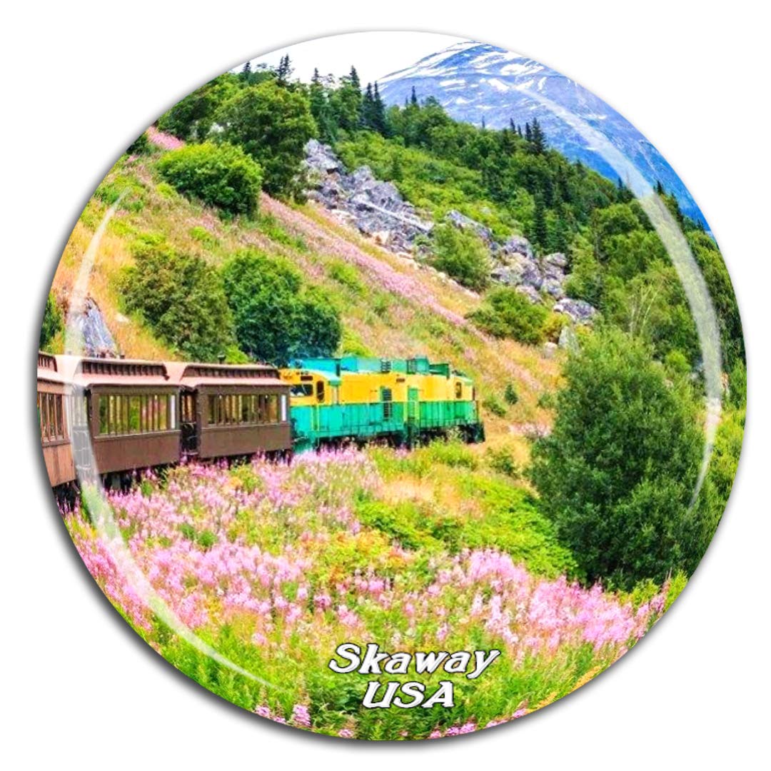 Magnete 3D Skagway Alaska, Souvenir Artigianale In Resina, Decorazione Per Frigorifero E Cucina, Fatto A Mano