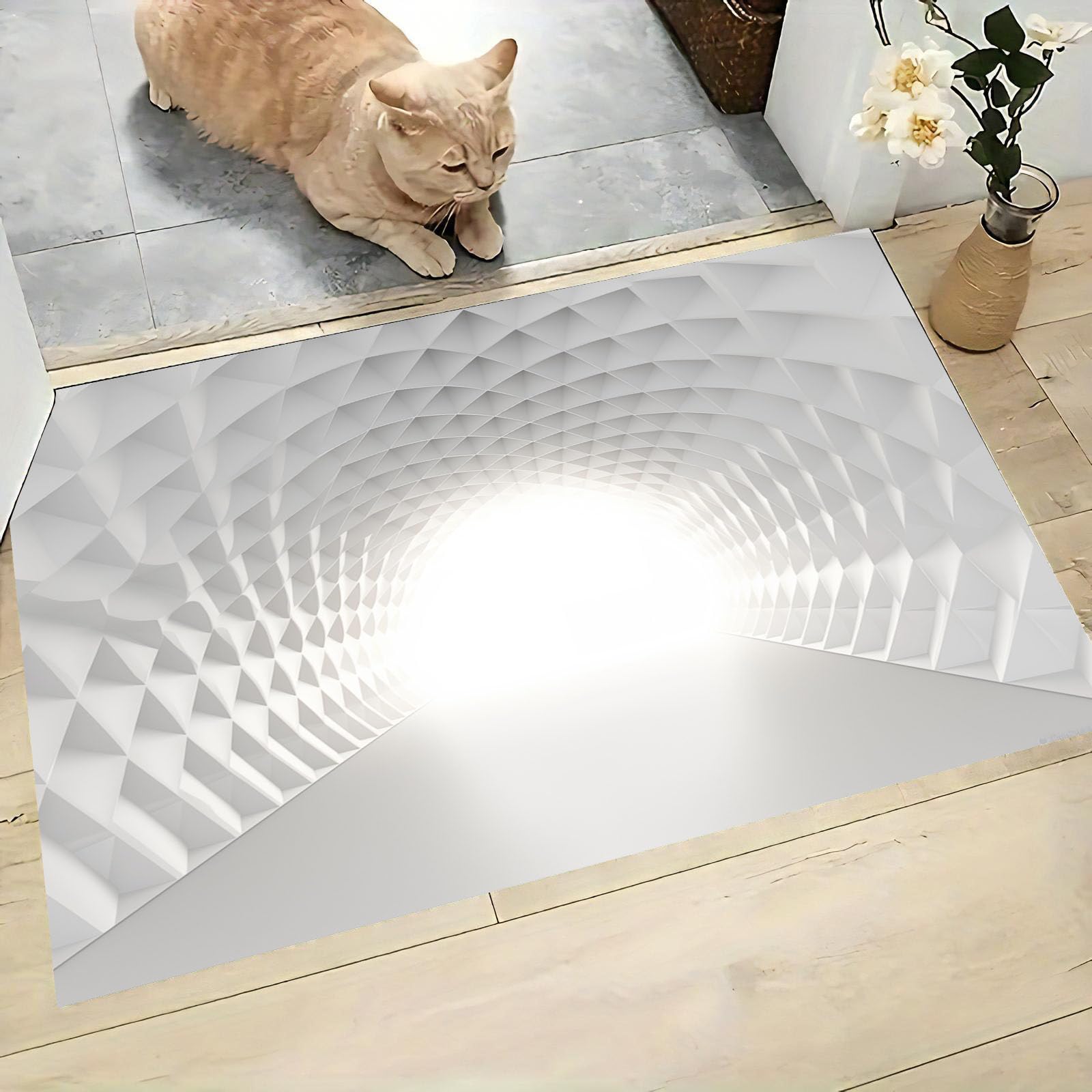 80 x 120 cm, paillasson d'entrée intérieur et extérieur, Tapis à Géométrie 3D Tunnel Ouvert, Tapis de Sol résistant à la décoloration, Profil Bas, Facile à nettoyerlaiteux