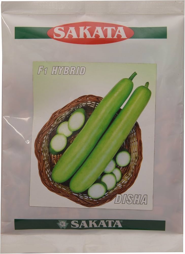 Sakata Bottle Gourd Disha F1-Hybrid Seed (Green) : Amazon.in