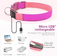 Vista 4 de Collar de perro con luz LED, recargable por USB, tamaño ajustable, correas de nailon TPU resistentes, seguridad brillante, collares básicos