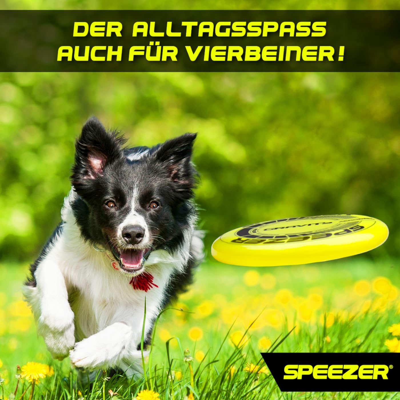 SPEEZER® Gravity Frisbee 175 g – Le disque de lancer professionnel jaune fluo est le jeu de sport en plein air – Disque de frisbee pour enfants et adultes – Jouet de plage