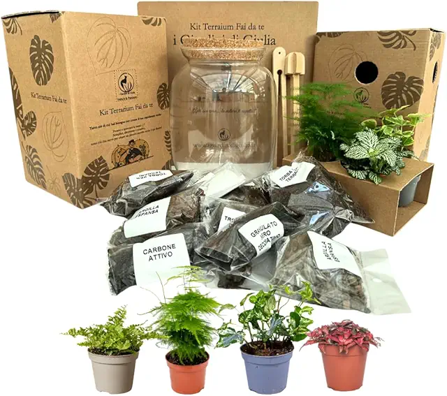 Kit Terrarium Fai-da-Te 'I Giardini di Giulia' - Ecosistema Autosufficiente con Piante