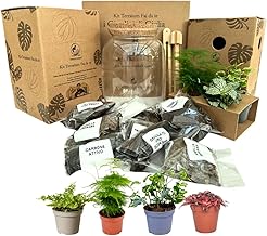 I GIARDINI DI GIULIA - DIY Terrarium Kit 'Giardini di Giulia' Complete Self-sufficient Ecosystem, Plants Included, Organic Design, Terrarium Kit with Glass Vase and Cork Stopper