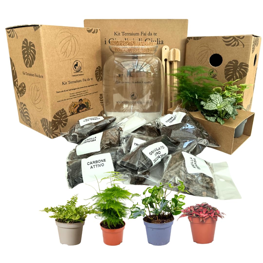 I GIARDINI DI GIULIA - Kit Terrarium Fai-da-Te 'I Giardini di Giulia' completo, Ecosistema Autosufficiente, Piante Incluse, Design Biologico, Kit terrario con vaso in vetro e tappo in sughero