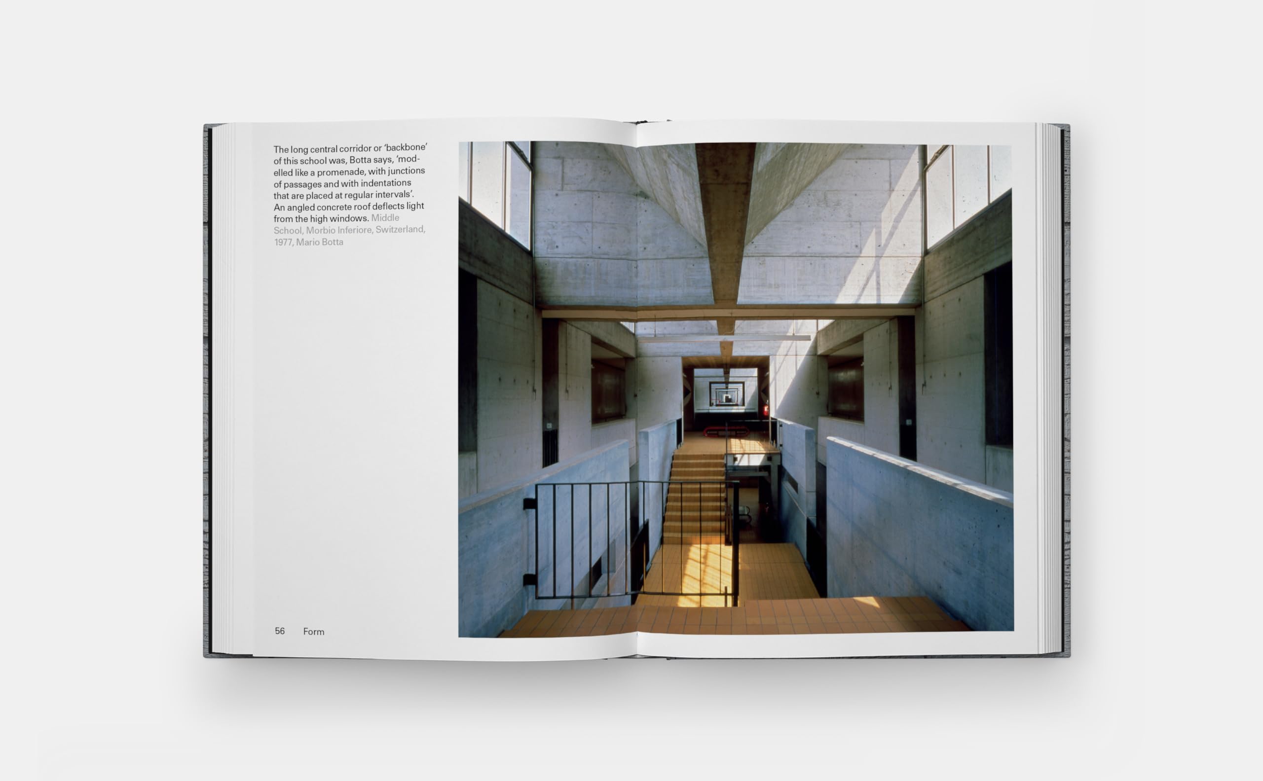 洋書 William Hall WOOD PHAIDON ウィリアム・ホール william hall celebrates timber in latest phaidon book 'wood'