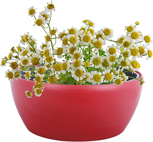 Miniatura 6 de Vencer Maceta redonda de plástico de 11 pulgadas, indicador de agua, maceta decorativa moderna para todas las plantas de casa, flores, hierbas,
