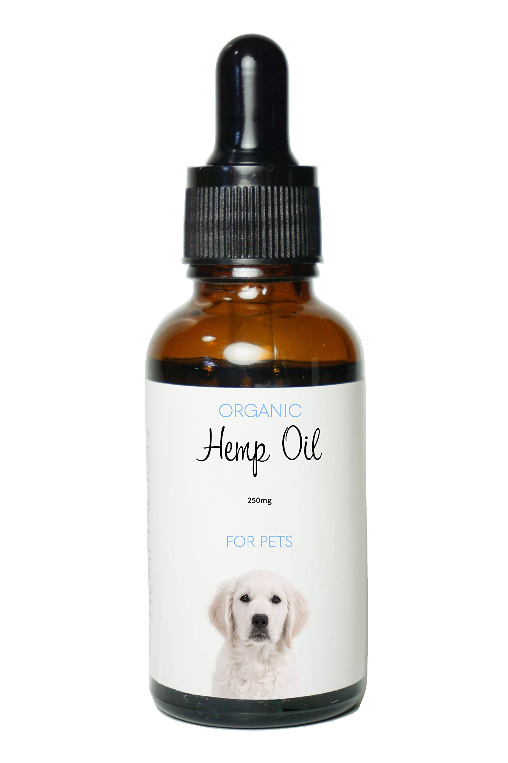 pure dog cold pressed