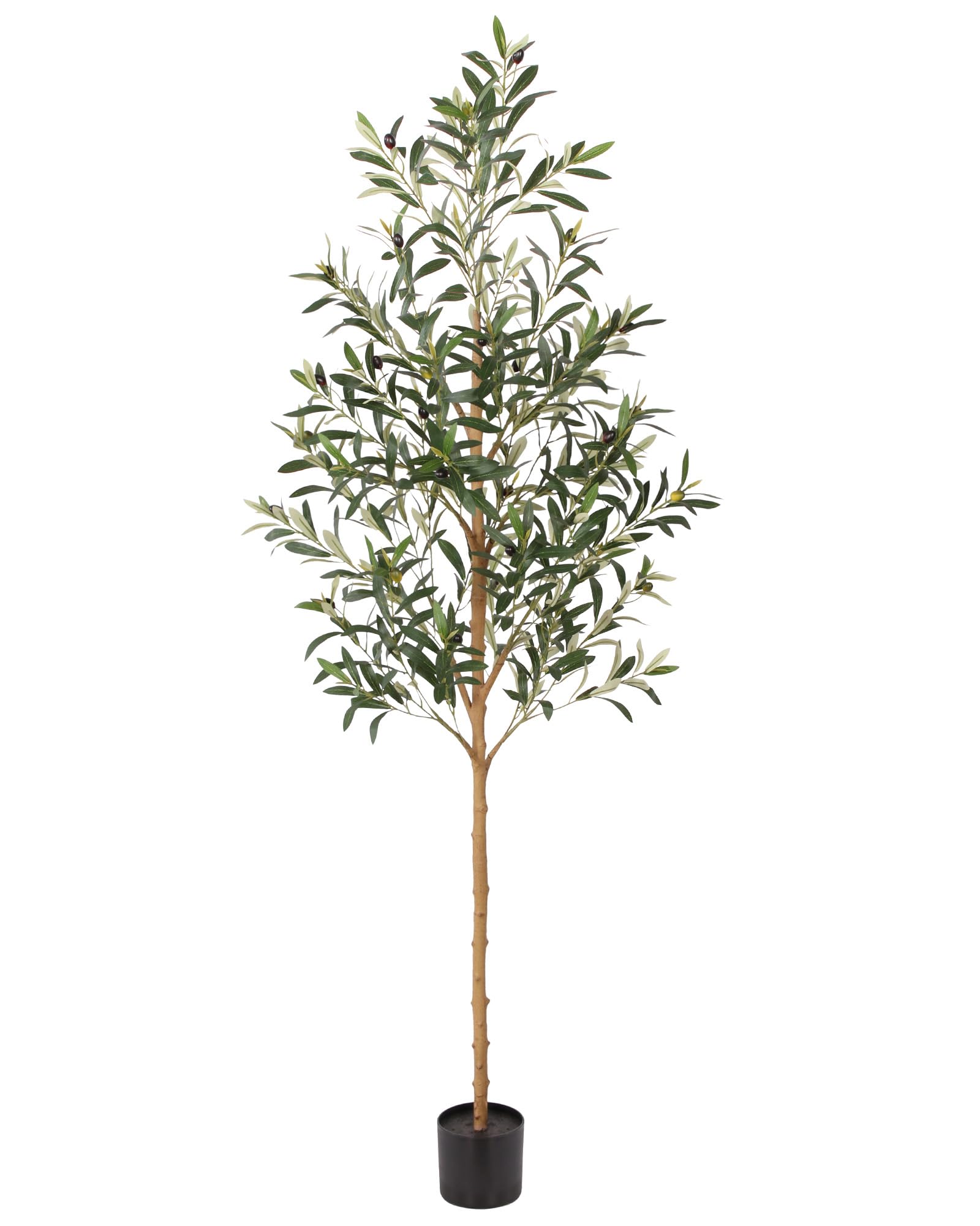 FLOWORLD 6FT Olive Trees Artificial Indoor