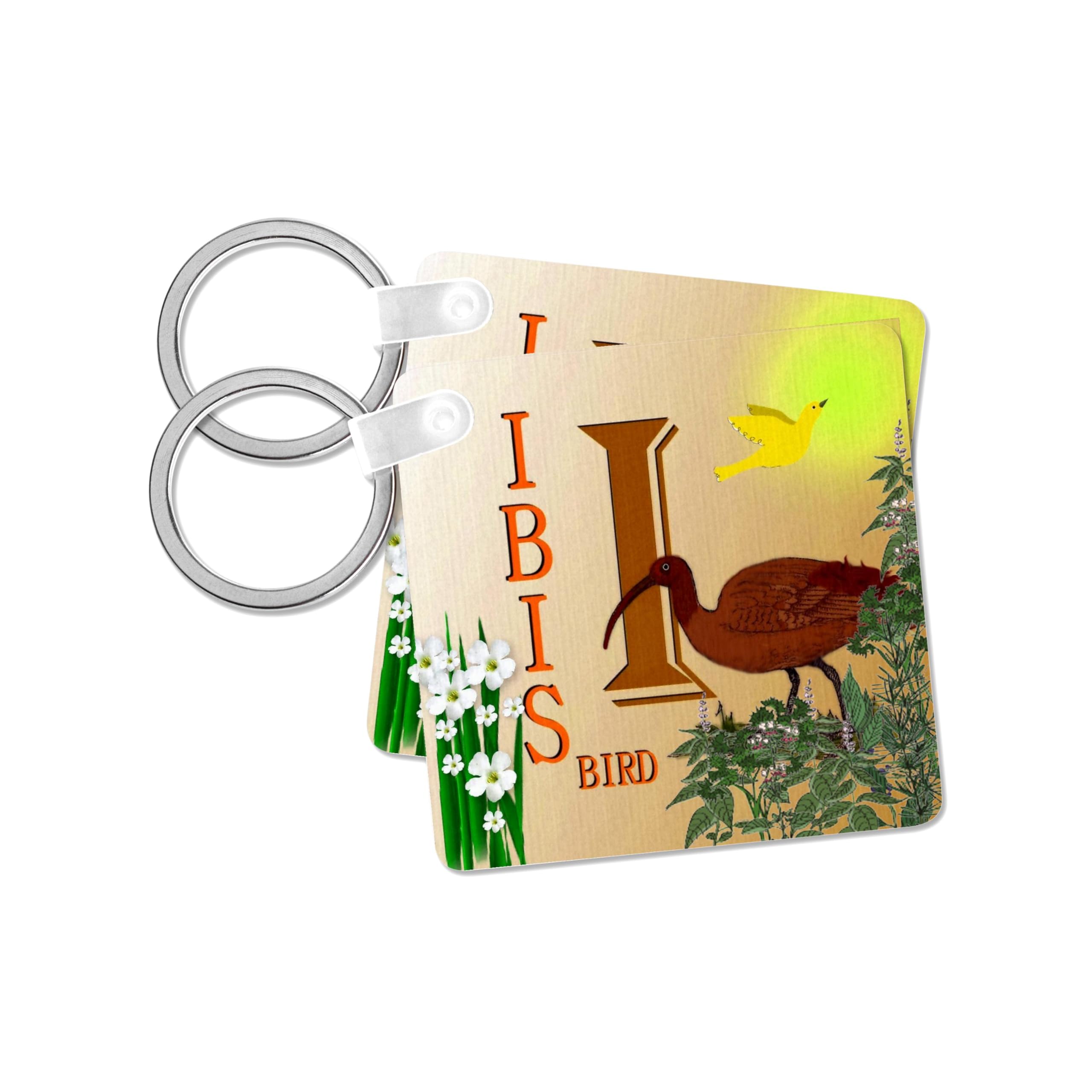 3dRose, Decorative Animal Alphabet Art for children - I is for an Ibis Bird in the park, set of 2 Key Chains