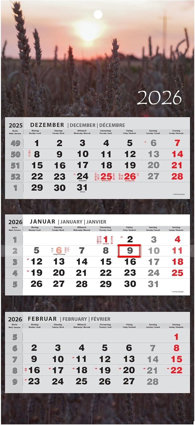 JAROGRAF 2026 Wall Calendar, 3 Month Calendar, Wall Planner, Three Month Calendar (Champ)