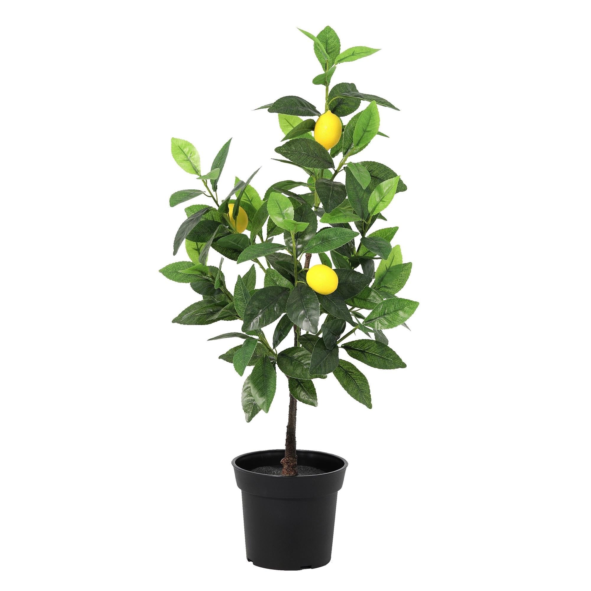 Citronnier artificiel avec feuilles réalistes et aspect citron jaune