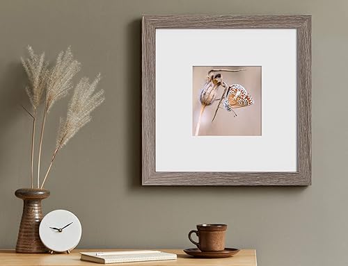 Vista 19 de Yaetm Portarretratos de 12 x 12 pulgadas con paspartú para fotos de 8 x 8 pulgadas, juego de 9 marcos cuadrados de 12 x 12 pulgadas, marco blanco