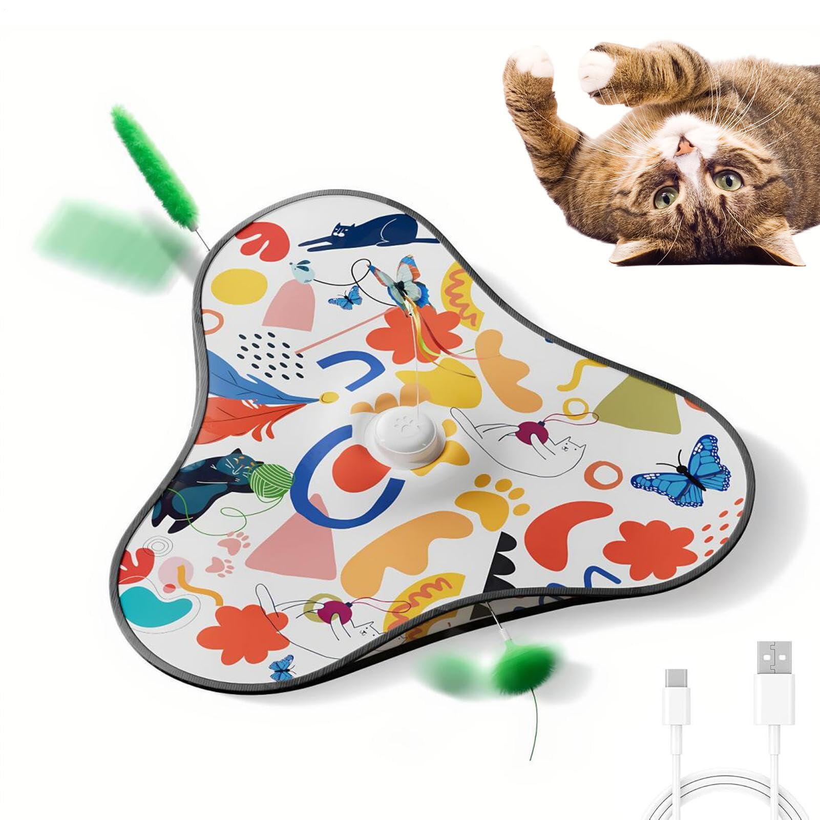 Stimulants rechargeables pour chat pour l'espace de jeu seul dans la cuisine ou le salon