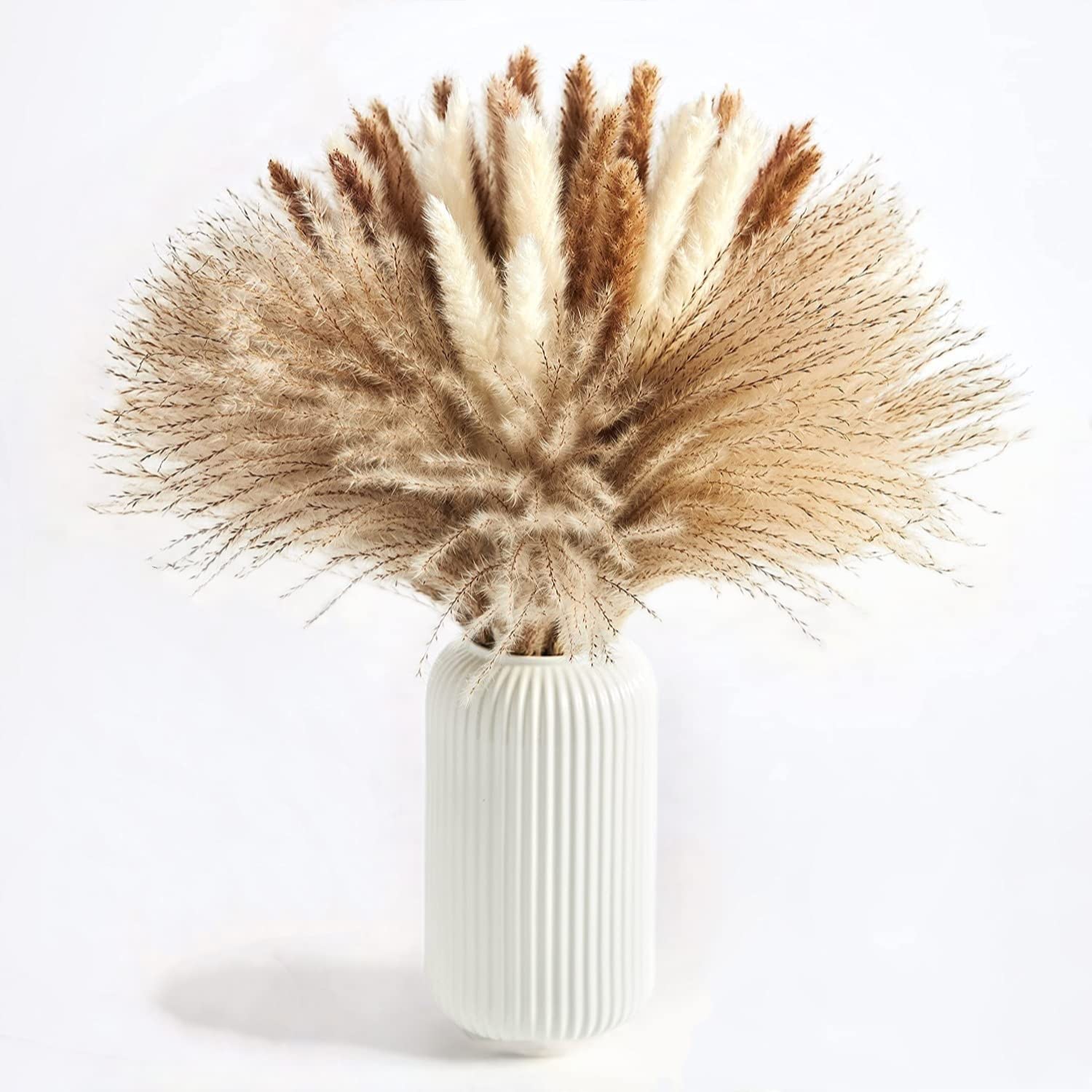 Buy Babibob Dried Pampas Grass 60 Pcs 15 Pcs White Pampas & 15 Pcs