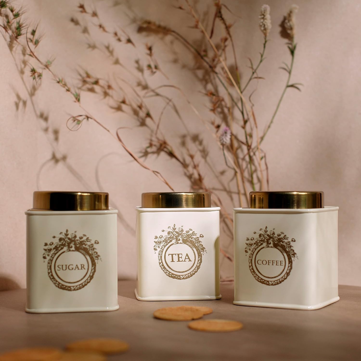 - Elan Dreamer Tea, Sugar & Coffee Air-Tight Canister, Stainless Steel, Set of -3, 650ml Each (Off-White)