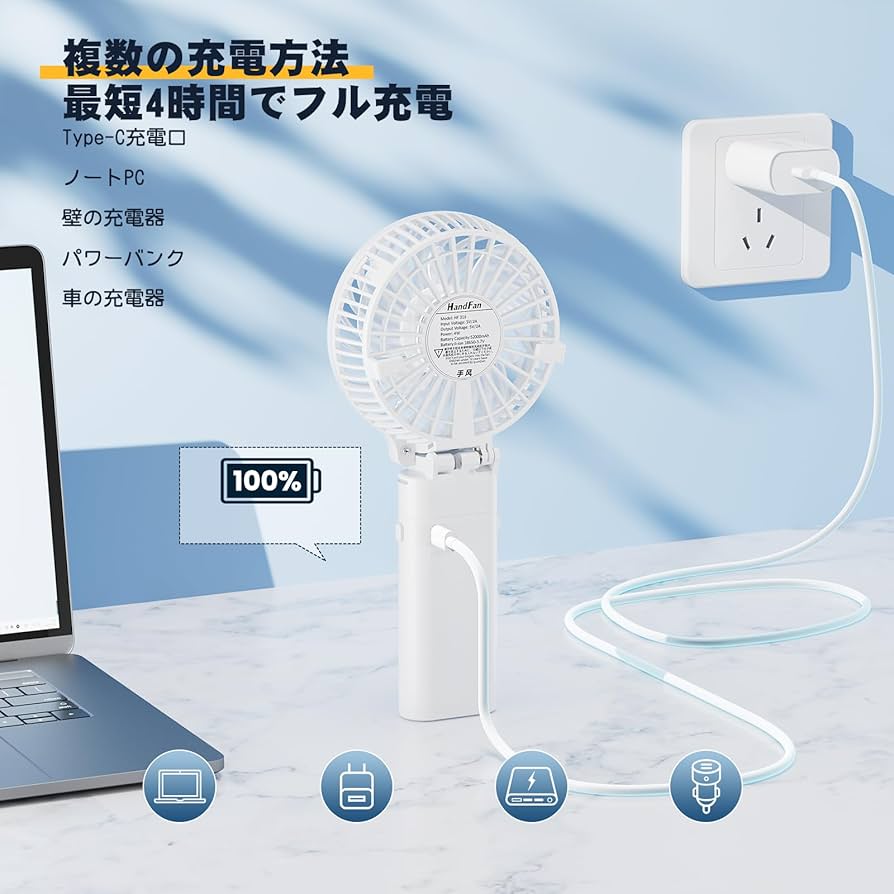 V.I STRONG PANDA HAND FAN ハンドファン V.I STRONG PANDA HAND FAN ハンドファン