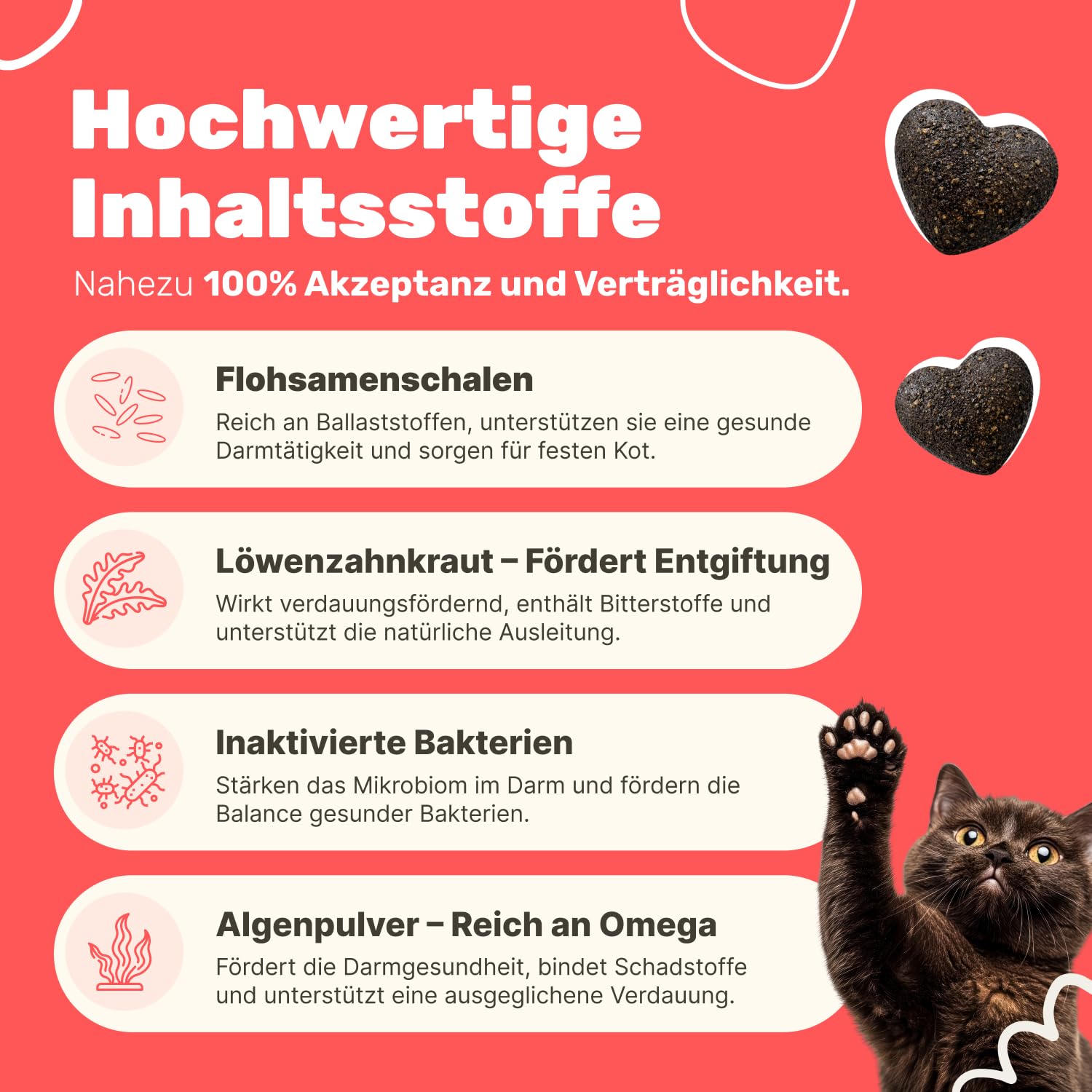2er Set | 9-in-1 Probiotika für Deine Katze | Unterstützt die Verdauung von Katzen | Ergänzungsfuttermittel für Katzen | Bei Durchfall Katze | Flohsamen & Löwenzahnkraut | Patsli Belly