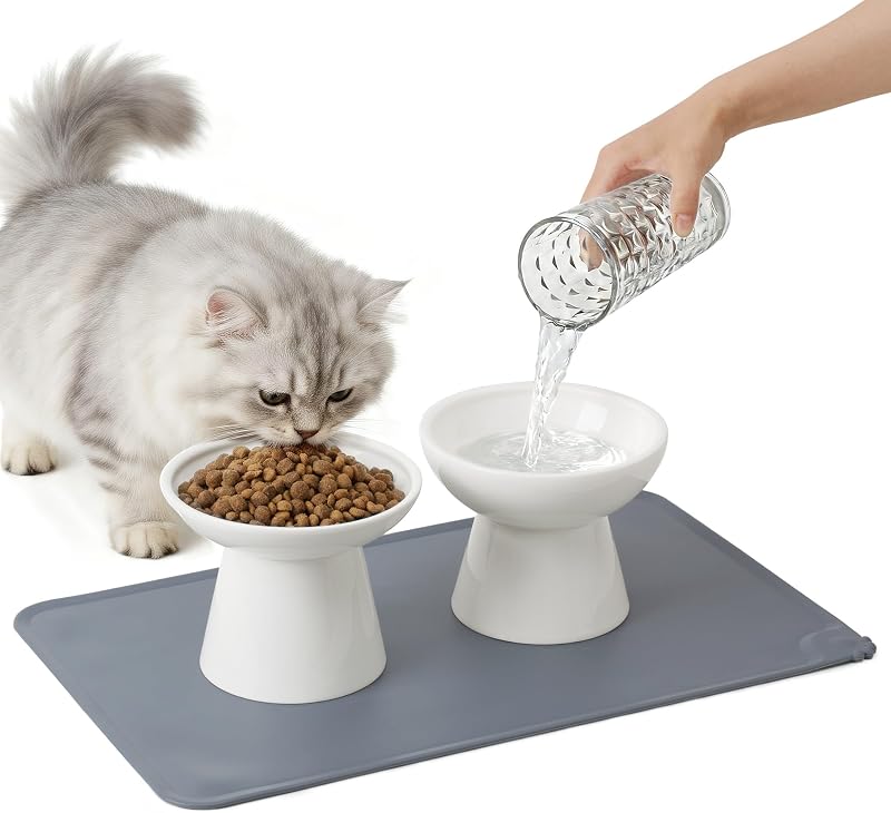 Potes elevados de cerâmica CEEFU para gatos com tapete, tigelas para alimento e água, branco, pacote com 2