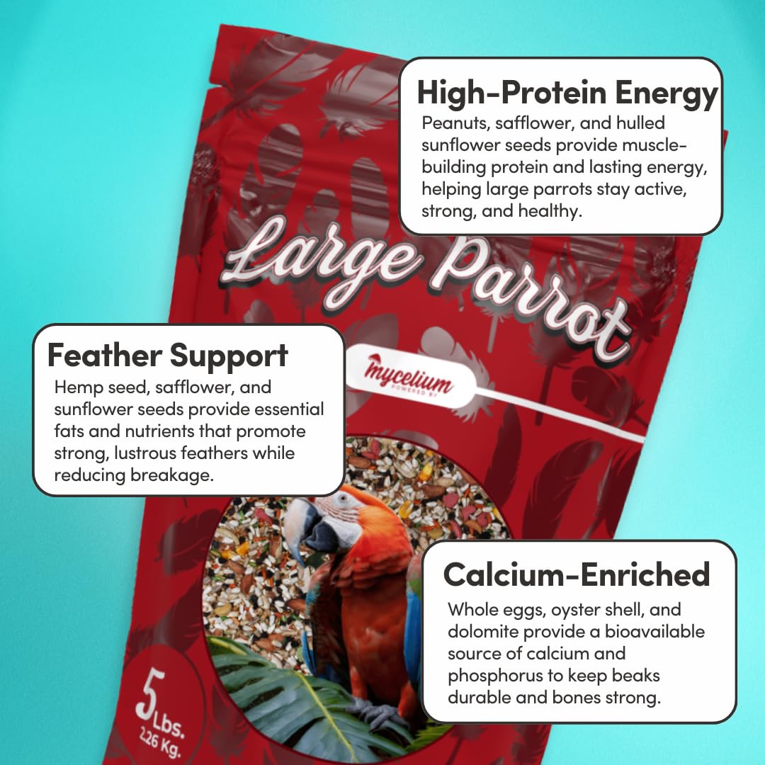 Parrot Plus Snapklik.com : Mycelium Large Parrot Plus Bird Seed High In Protein ...