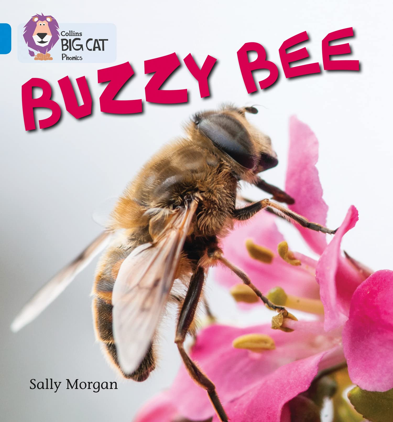 HarperCollins UK Buzzy Bees: Band 04/Blue