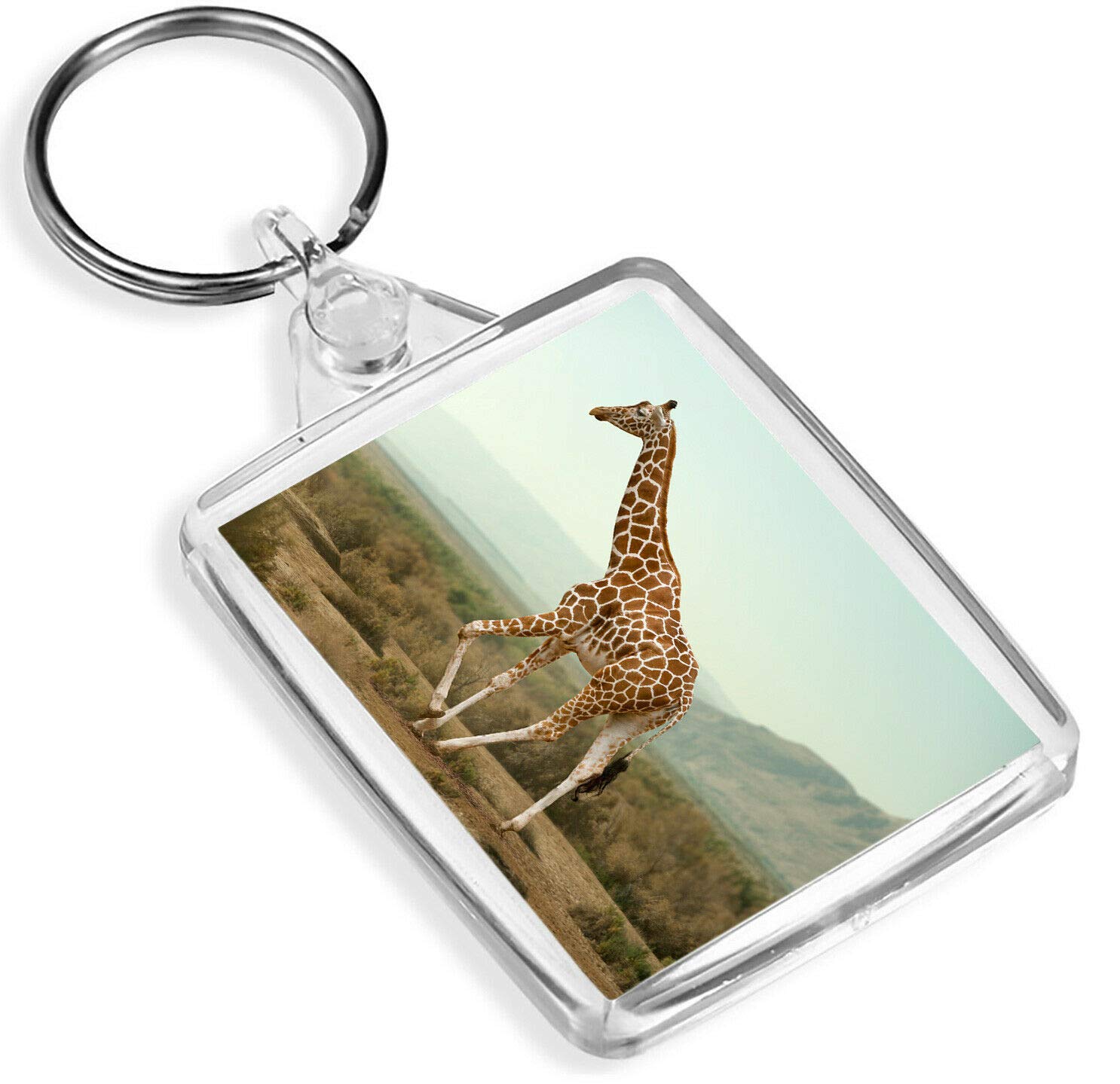 Destination Vinyl Keyrings Unisex Multi Walking Giraffe Keyring - Ip02 - Wild Animals Jungle 16585