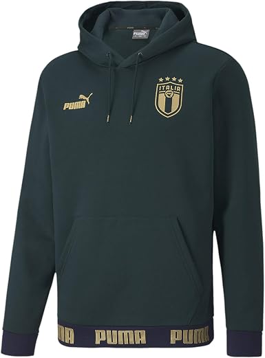 PUMA Men's Figc Ftblculture Hoody 