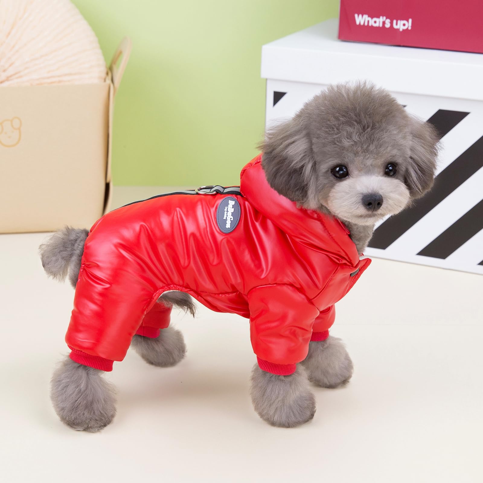 Izefia Dog Coat Windproof Jacket Cold Weather Coats 4 Legs Warm Jumpsuit Winter Thick Clothes Snow Proof Cotton Coat for Small Dog Medium Cat Red M - Image 3