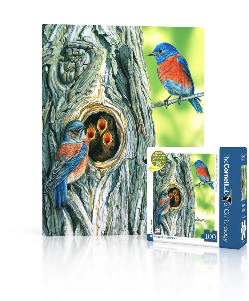 Cornell Lab Western Bluebird Mini - 100 Piece Jigsaw Puzzle for Family Game Nights by Chloe Ohmori