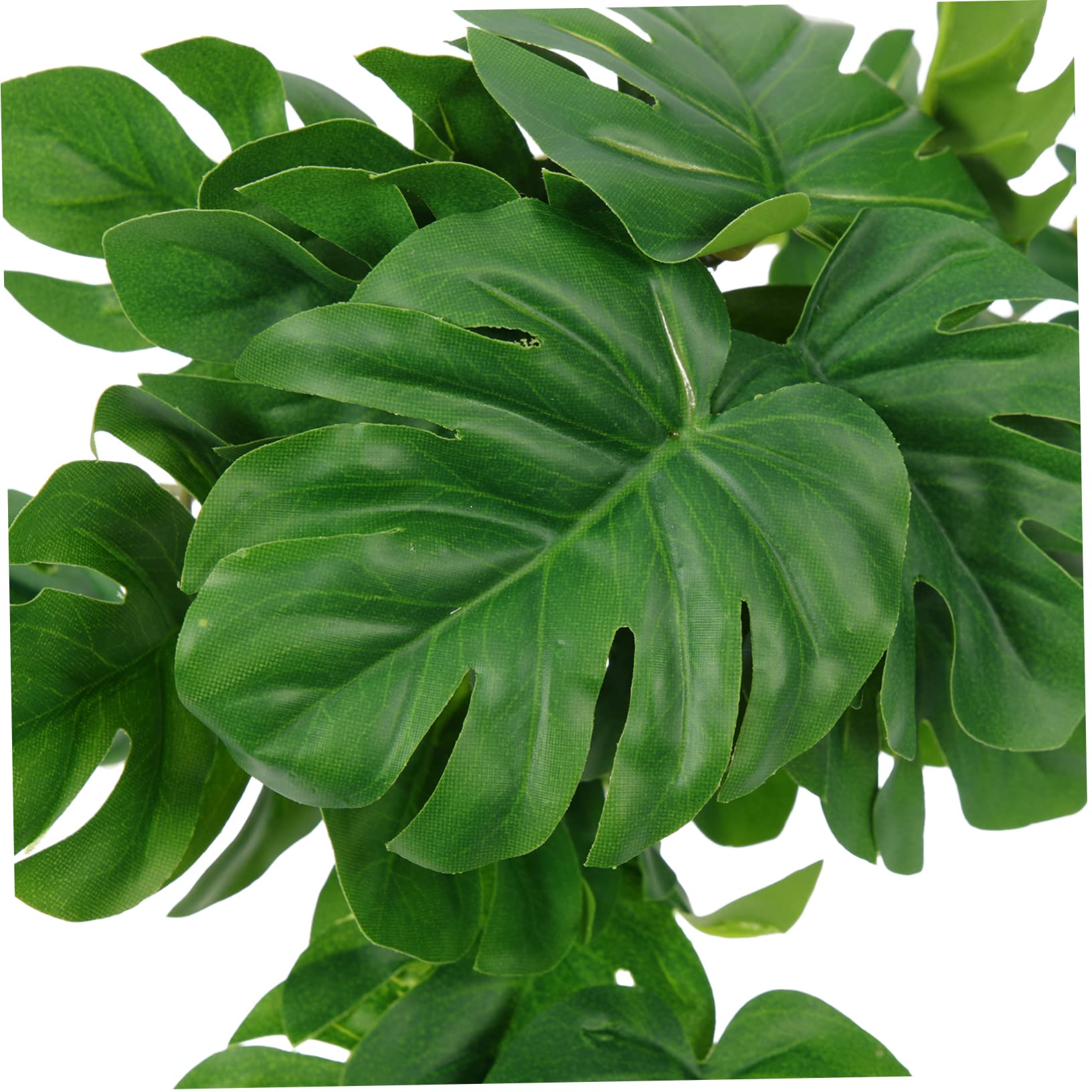 Happyyami 10piezas Plantas Decorativas Artificiales para Terrario De Reptiles Simuladas De Alta Realidad para Acuarios y Hábitats De Mascotas Decoración Natural para Peceras y Espacios